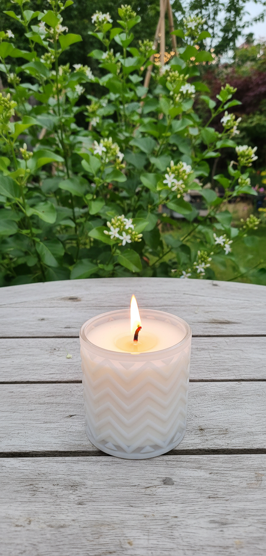Citronella Outdoor Candle 500g