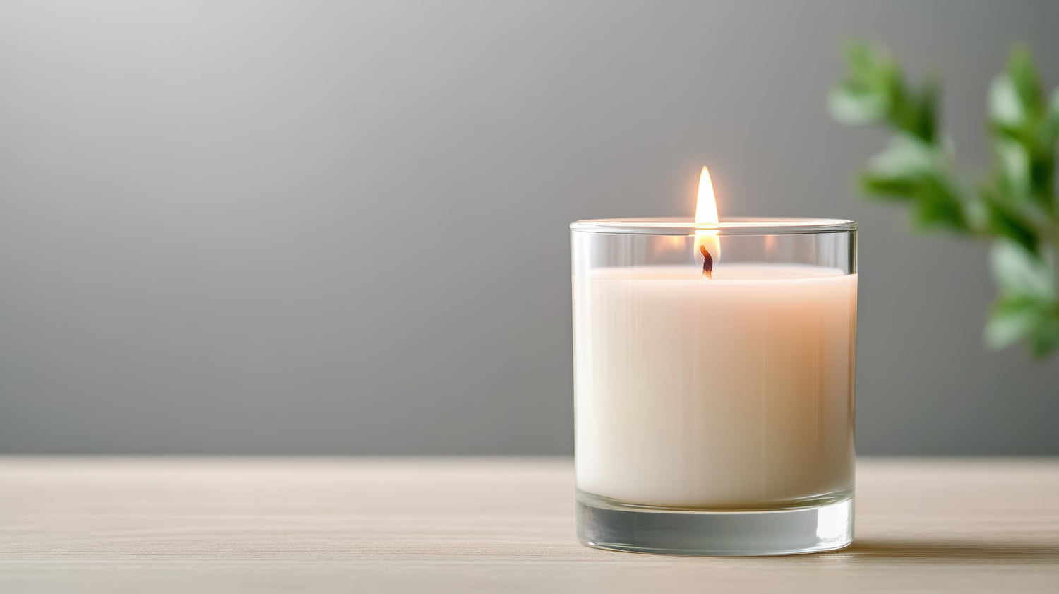 The Signature Collection