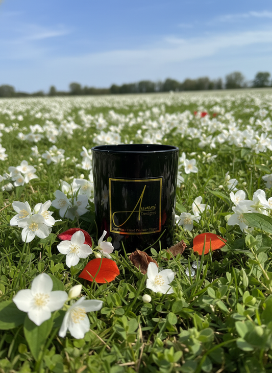 Aumni Black Candle Jasmine