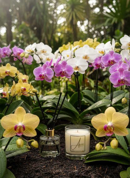 Aumni Diffuser & Candle Gold Orchid
