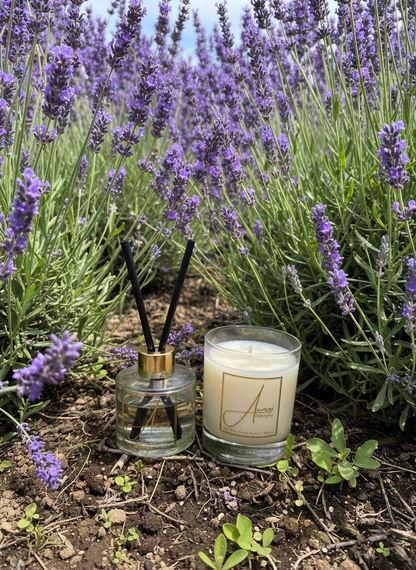 Aumni Diffuser & Candle Lavender