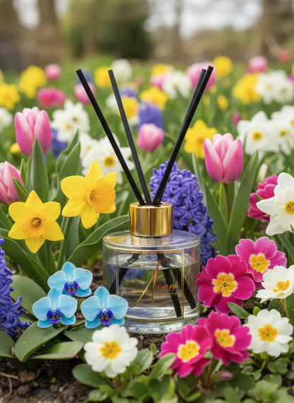 Aumni Spring Awakening Reed Diffuser